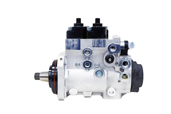 CYP5